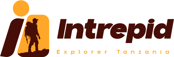 intrepid explorer tanzania