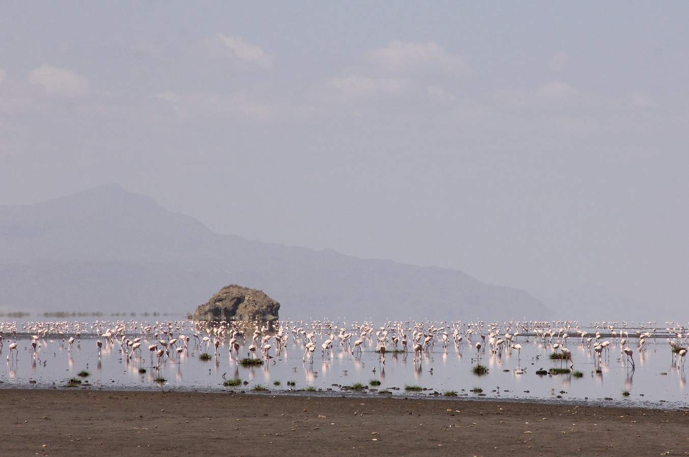 lake natron